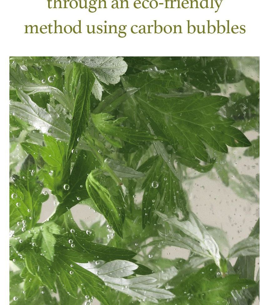 Ik kom uit - Mugwort Feminine Wash