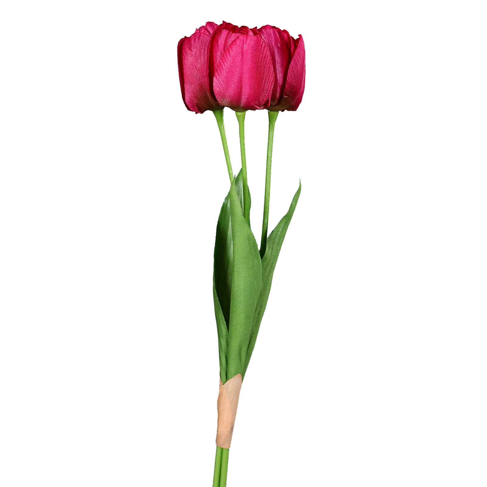 Tulpen-Bund - fuchsia - Kunststoff - 3 Stück