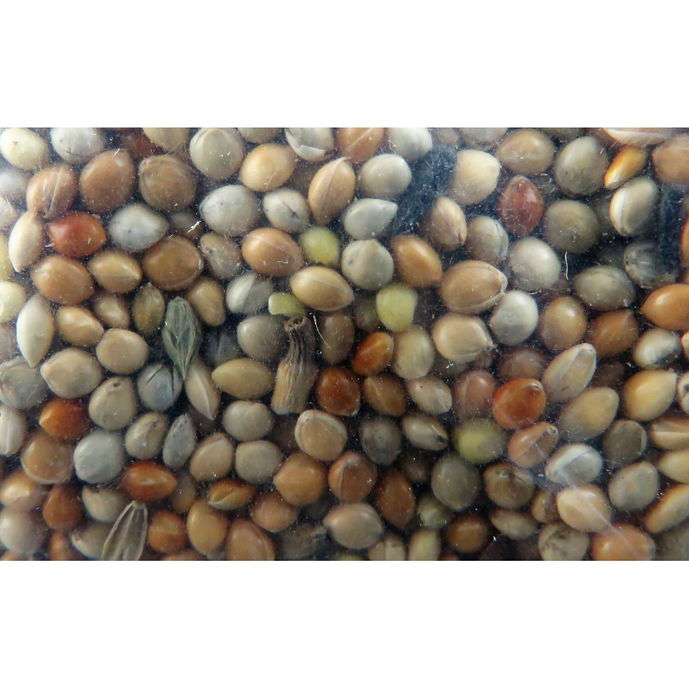 Graines perruches nutrimeal - 12kg pour oiseaux