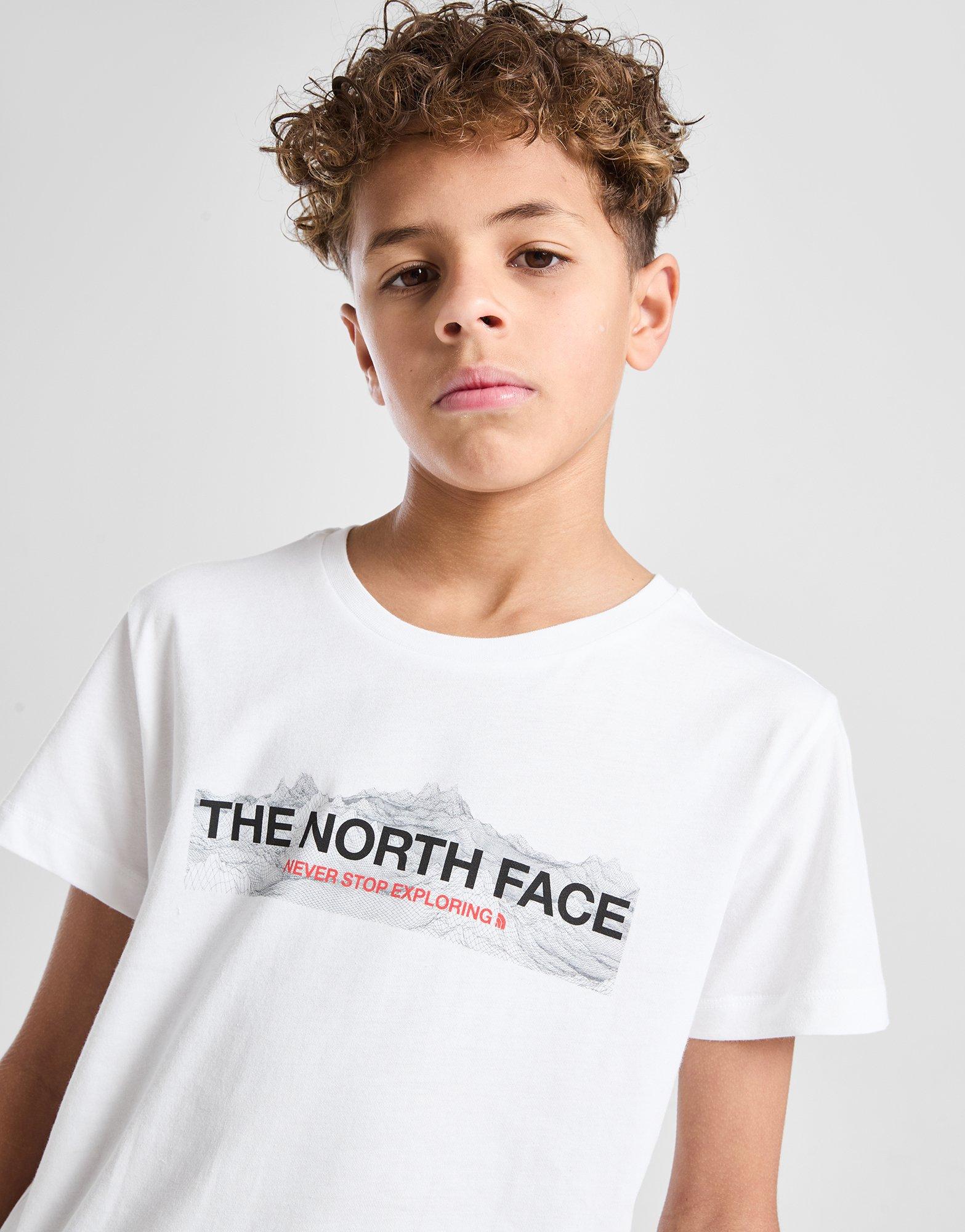 The North Face T-shirt Mountain Junior