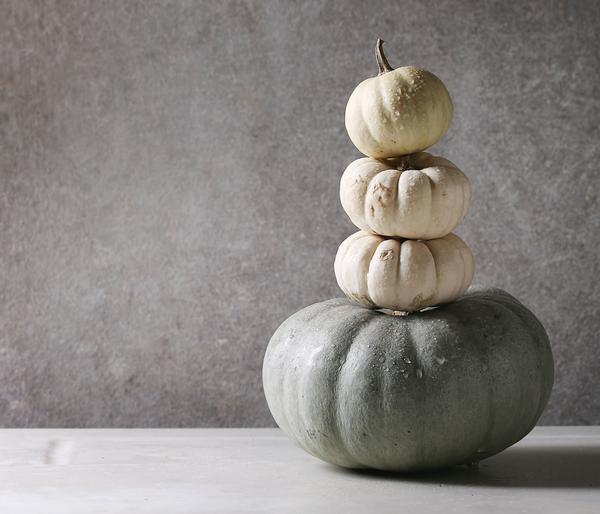Kürbis 'Sweet Grey', ca. Ø15 cm