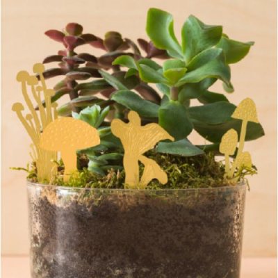 Mini Mushrooms Plant Decorations