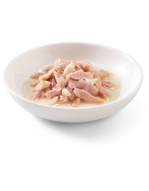 Schesir Kat Bouillon 70 g - Kattenvoer