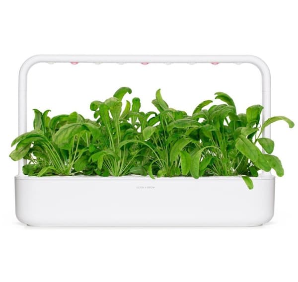 Click & Grow Smart Garden refill Mibuna 3stk