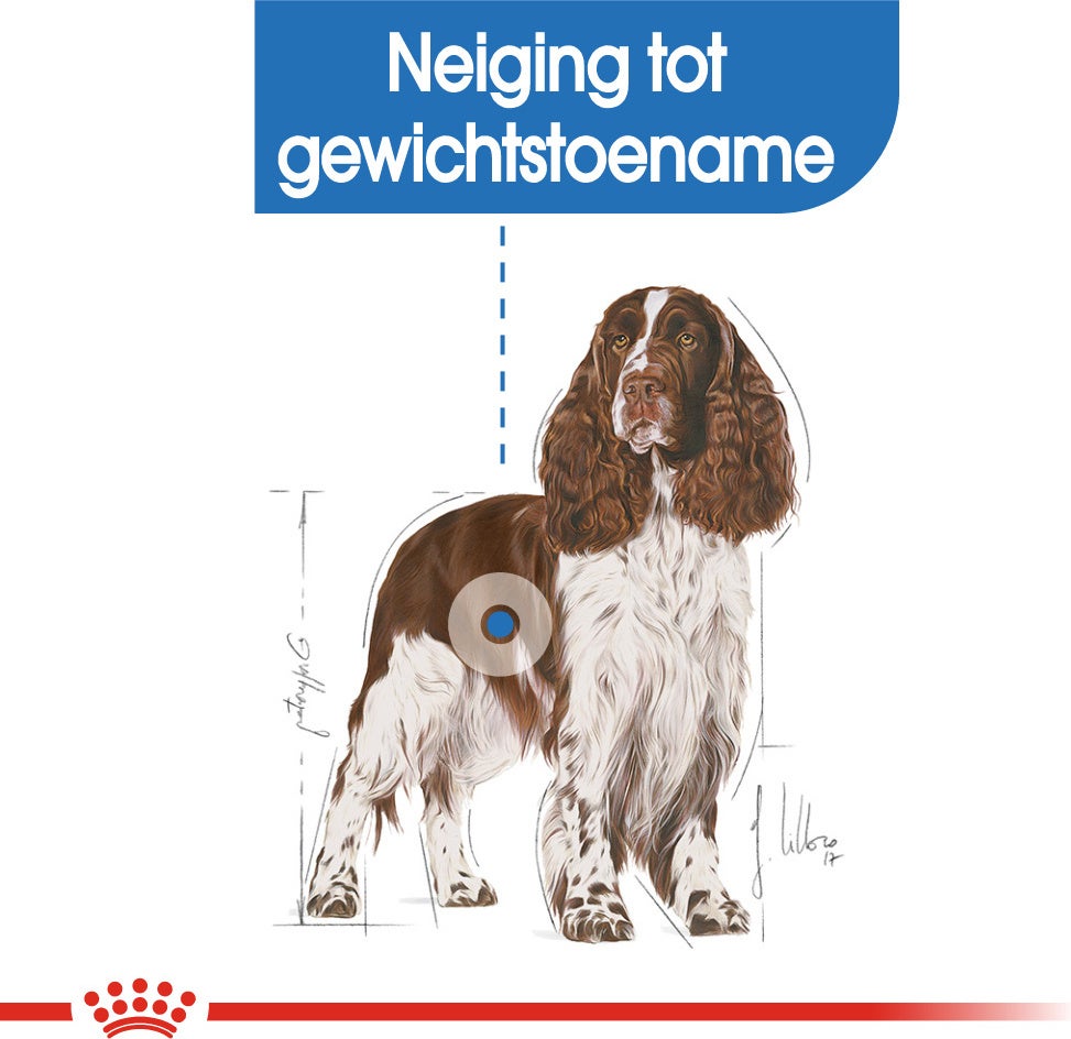 Royal Canin hondenvoer Light Weight Care Medium 3 kg