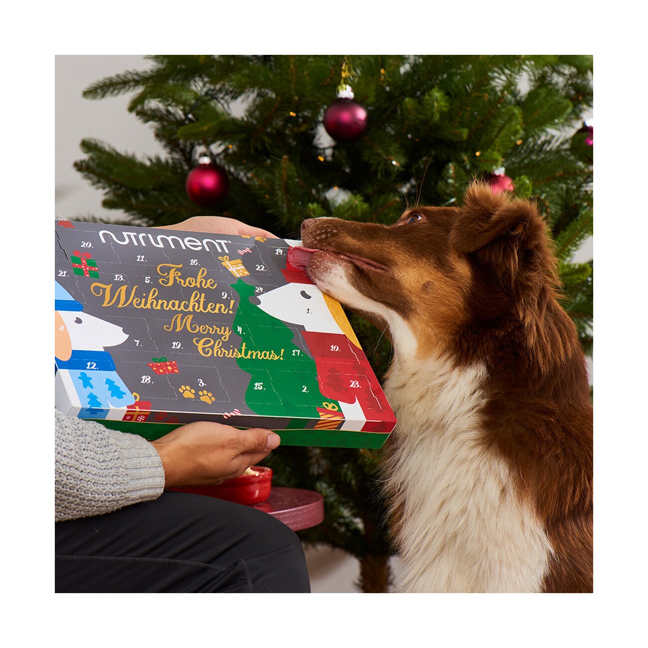 Nutriment Adventskalender für Hunde 2025