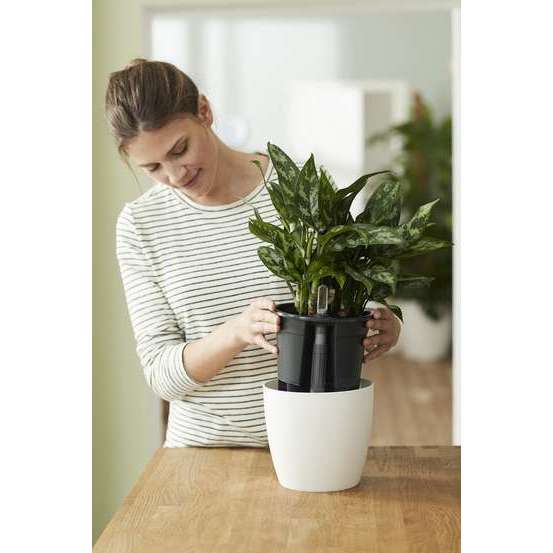 Self-Watering insert living noir 24cm