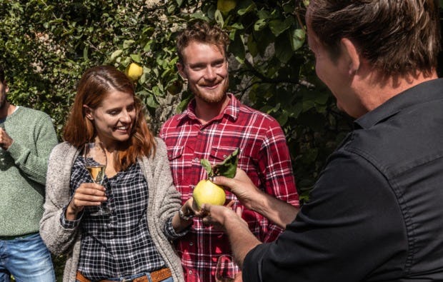 Weinbergwanderung in Worms als Geschenkidee