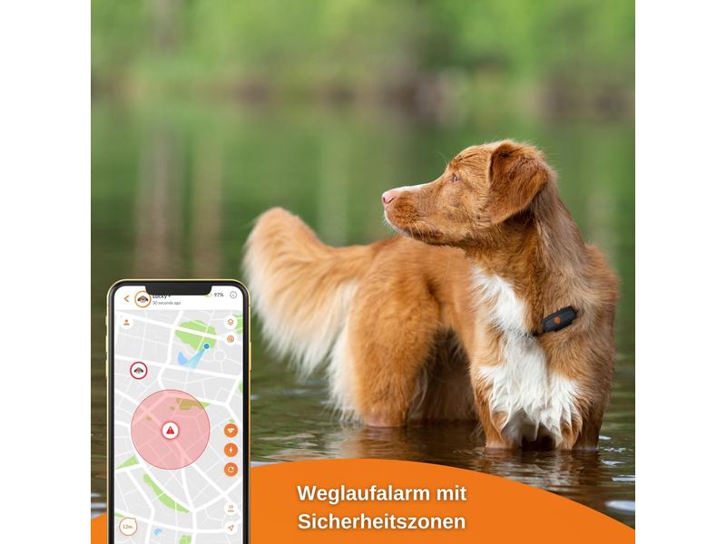 Weenect GPS-Tracker XS für Hunde, Schwarz Der kleinste GPS-Tracker für Hunde mit integrierter Taschenlampe
