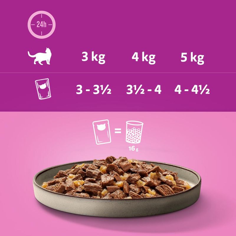 Whiskas 1+ Marmiton 48 x 85 g
