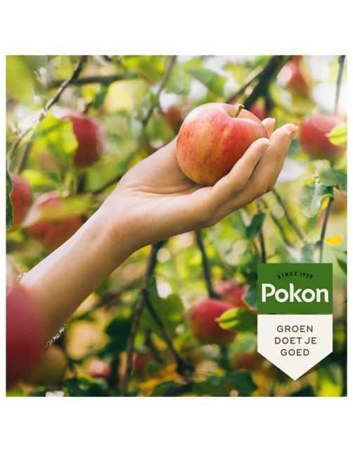 Pokon Bio Fruitbomenmest - Meststoffen - 1 kg