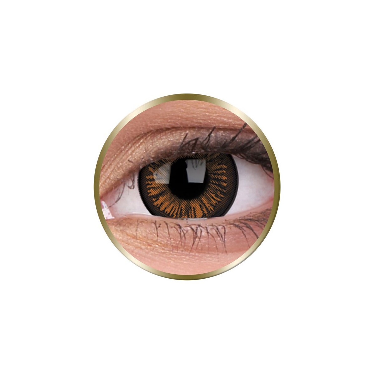 Fargede Linser Phantasee Big Eyes Brun