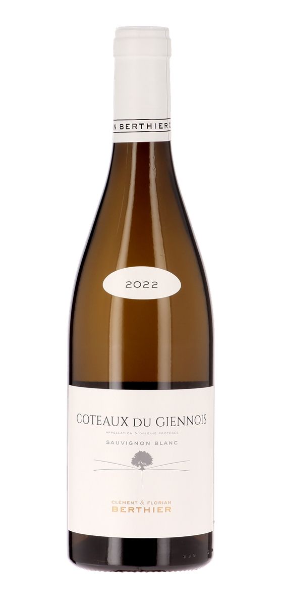 Clément et Florian Berthier - Clément et Florian Berthier - Coteaux du Giennois 2022