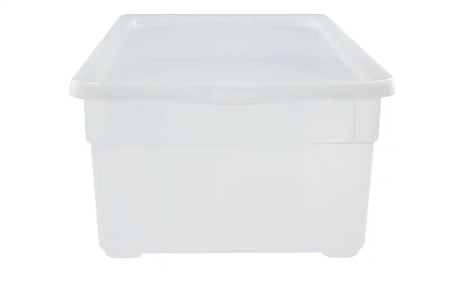 Rotho Aufbewahrungsbox mit Deckel 33 cm