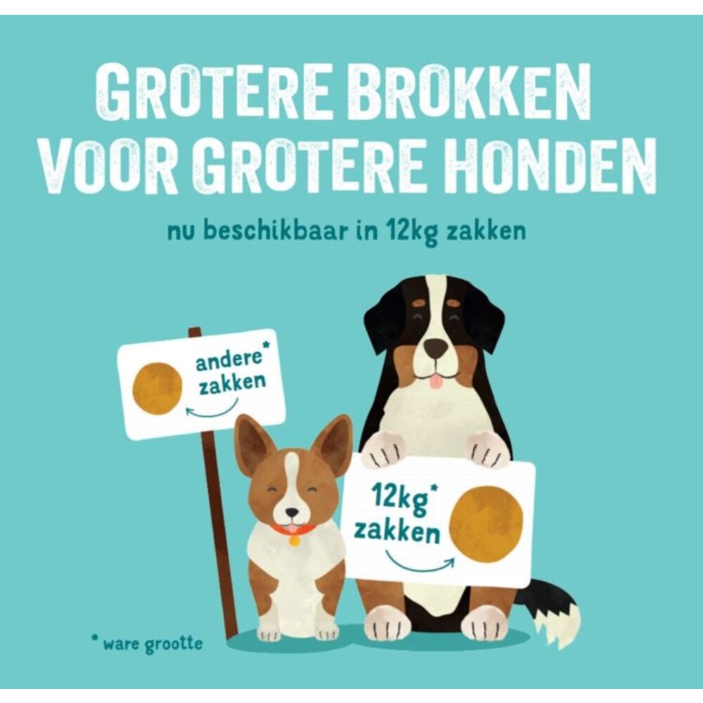 Edgard & Cooper Hondenvoer Noorse Zalm12 kg