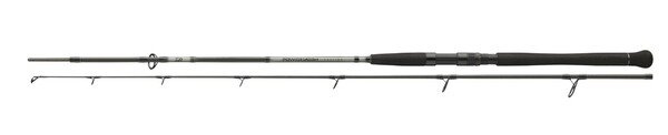 Canne Silure Daiwa Powermesh CF Spin