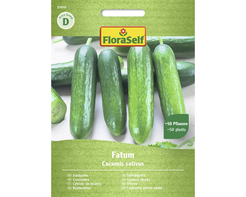Salade komkommer Fatum FloraZelfbestuivende zaden groentezaden