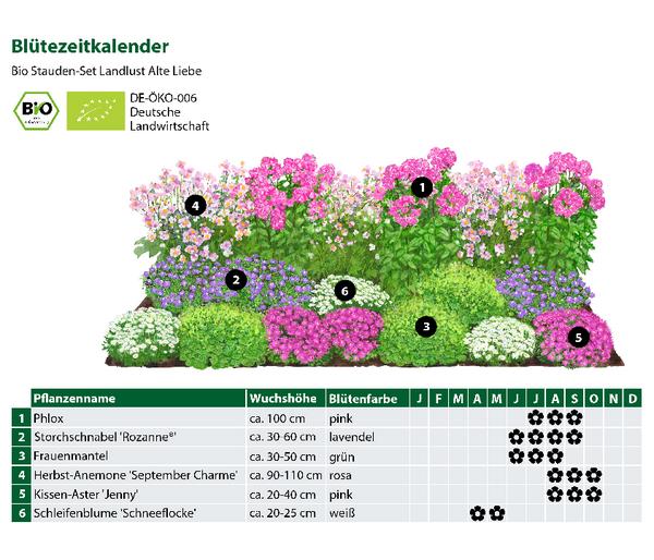 Bio Stauden-Set Alte Liebe, Landlust