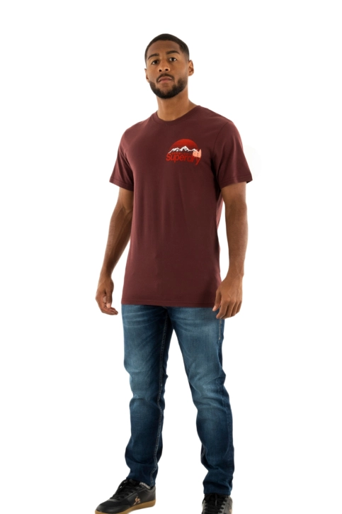 Tee shirt superdry great outdoor 2xy rum raisin brown