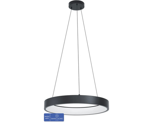 LED Smart Light Hanglamp 6.5W 3400 lm CCT RGB HxØ 111x60 cm zwart - Compatibel met SMART HOME van hornbach