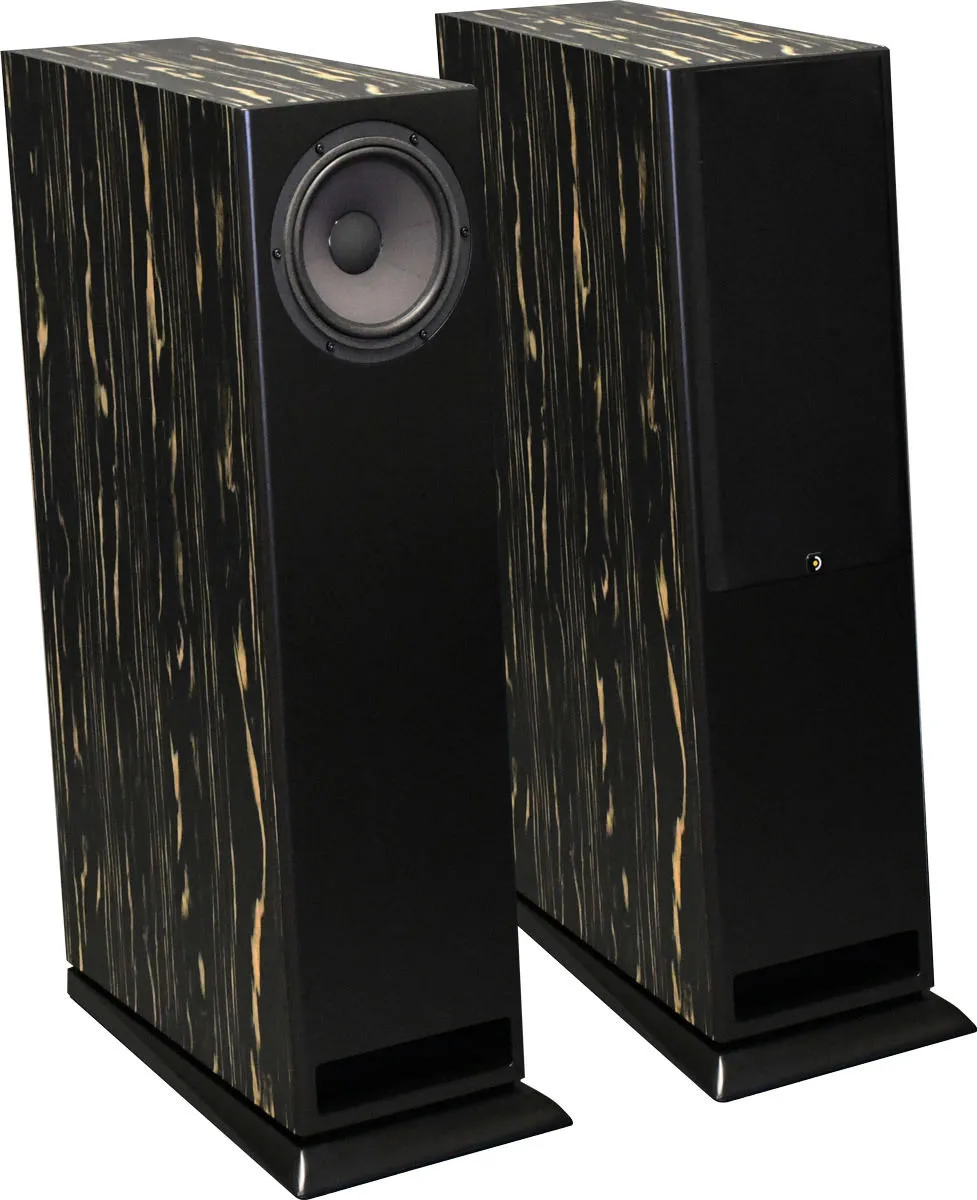 Davis Acoustics MV One Master Ébène laqué (la paire) Enceintes colonne