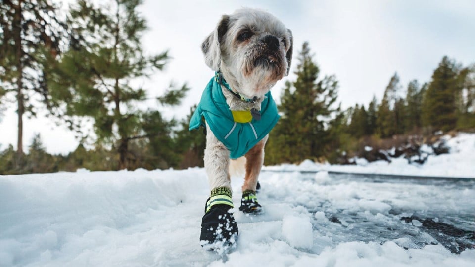 Ruffwear Summit Trex Shoes<br>Potesokker