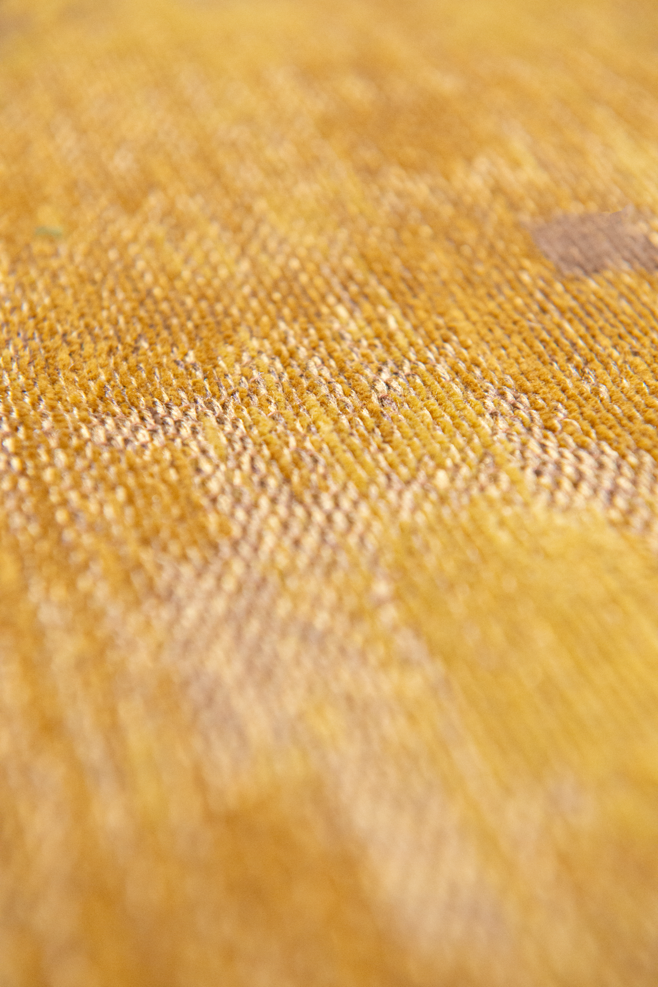 Ecorugs vloerkleed Venetian Dust goud 240x340 cm