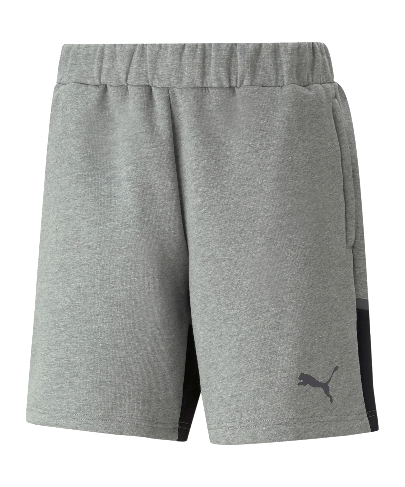 PUMA teamCUP Casuals Short Grau F13