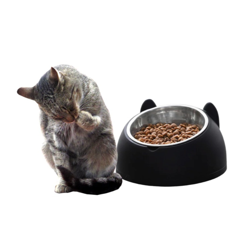 Edelstahl Haustier Futternapf Erhöhter Fress Napf Wasser Schale für Katzen / Hunde - Schwarz
