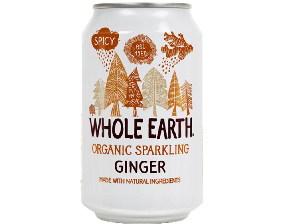 REFRIGERANTE WHOLE EARTH GENGIBRE BIO 330ML