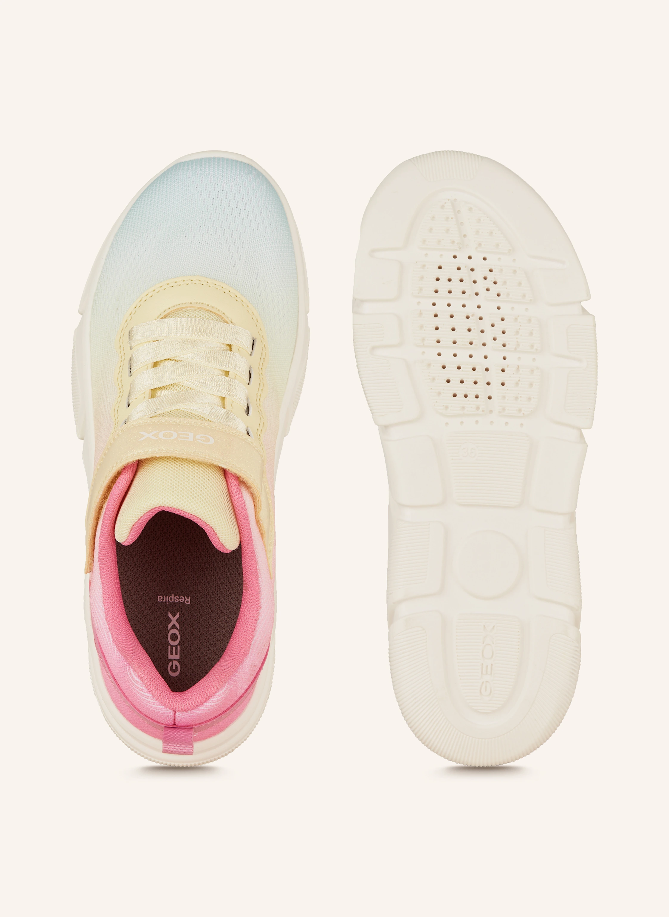 GEOX Sneaker ARIL