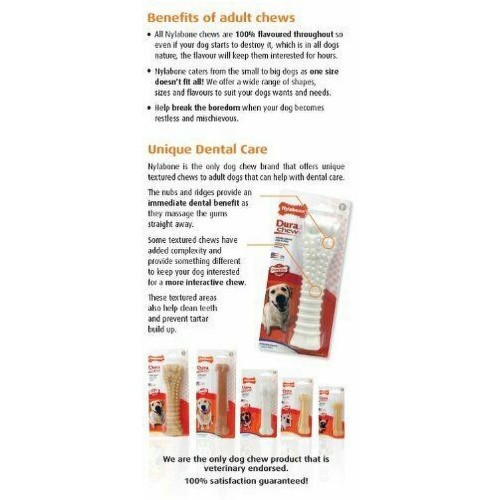 Kit de 3 peças para filhotes iniciantes com brinquedos de mastigar Nylabone