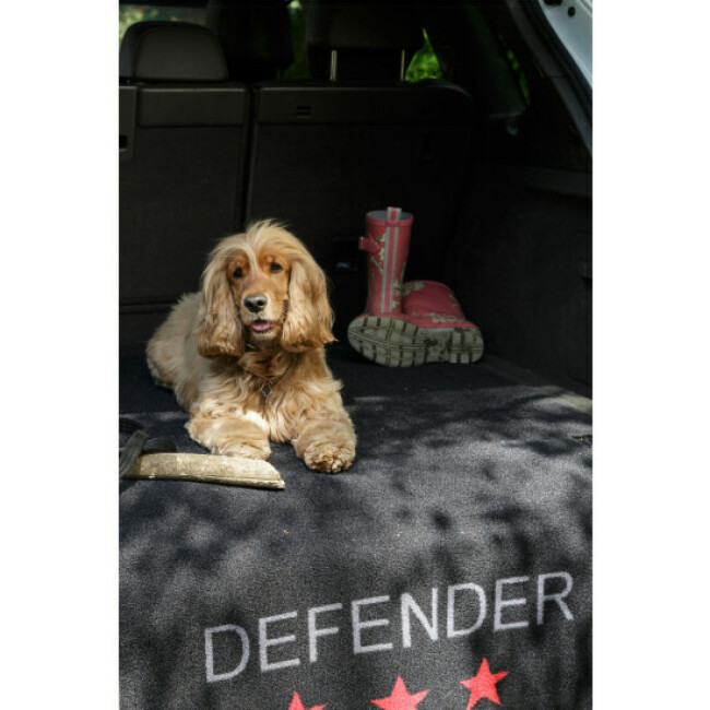 Protection pour coffre Defender Pet Rebellion