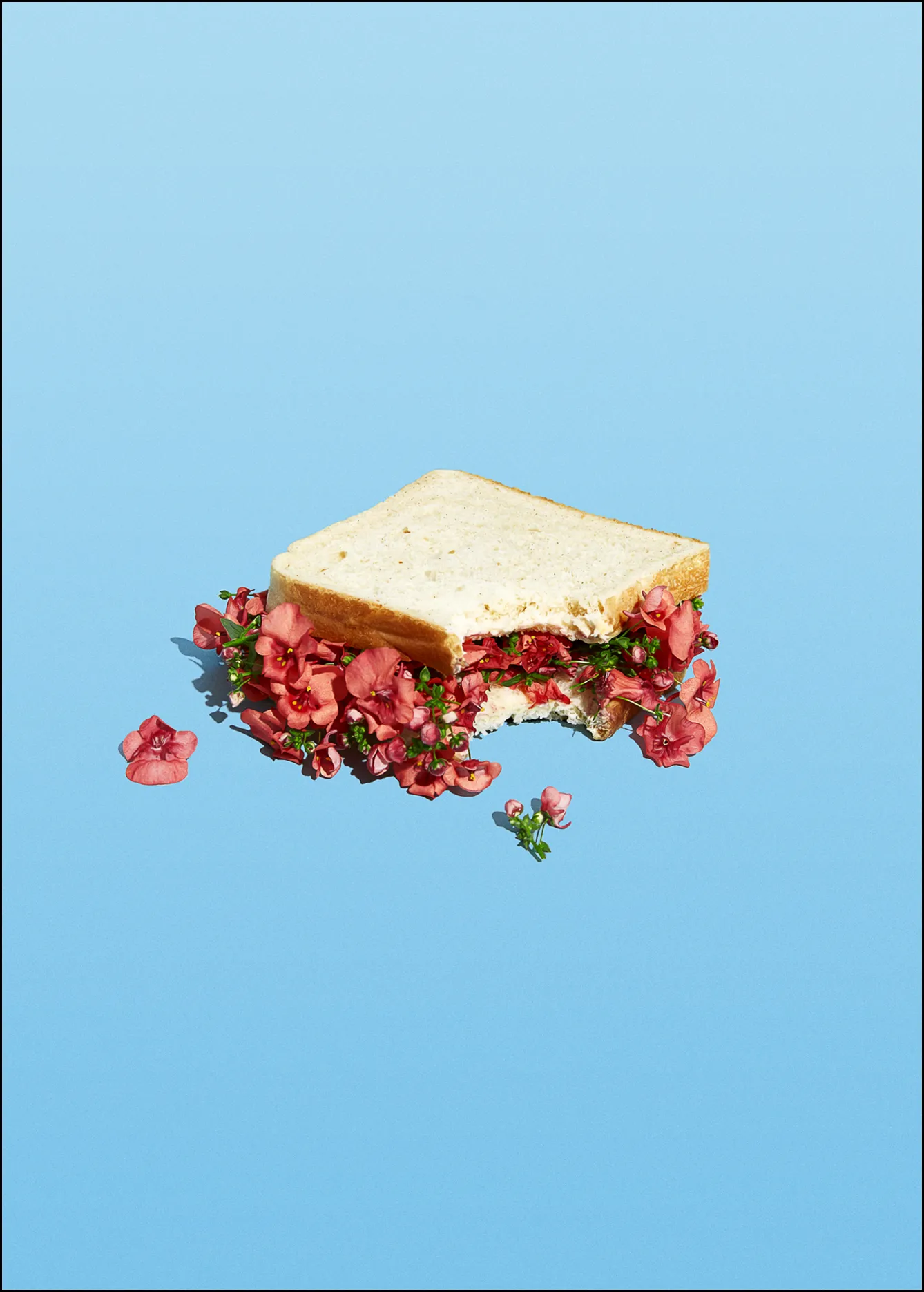 Poster&Frame Plakat - Flower sandwich