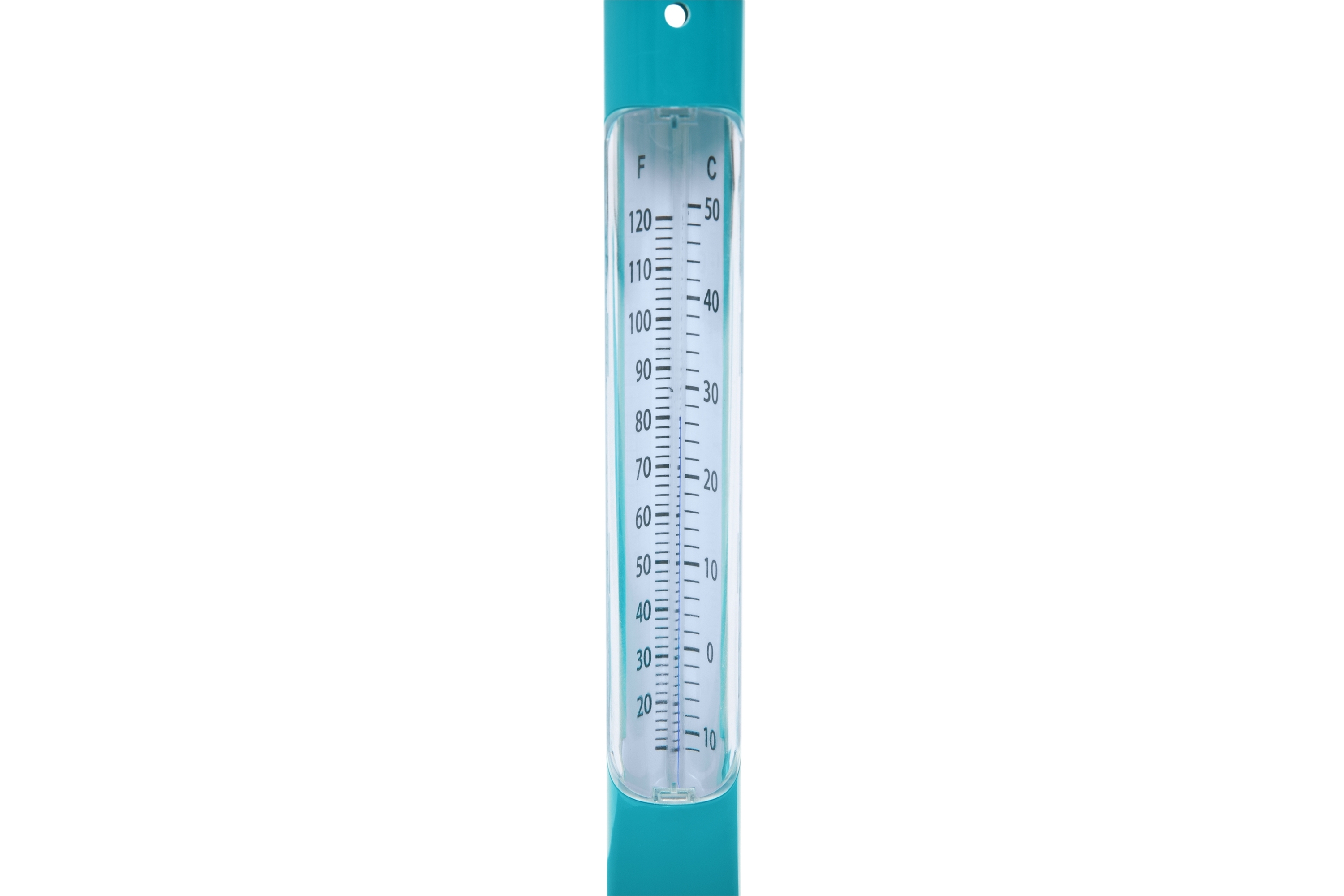 Pool Thermometer Kaktus