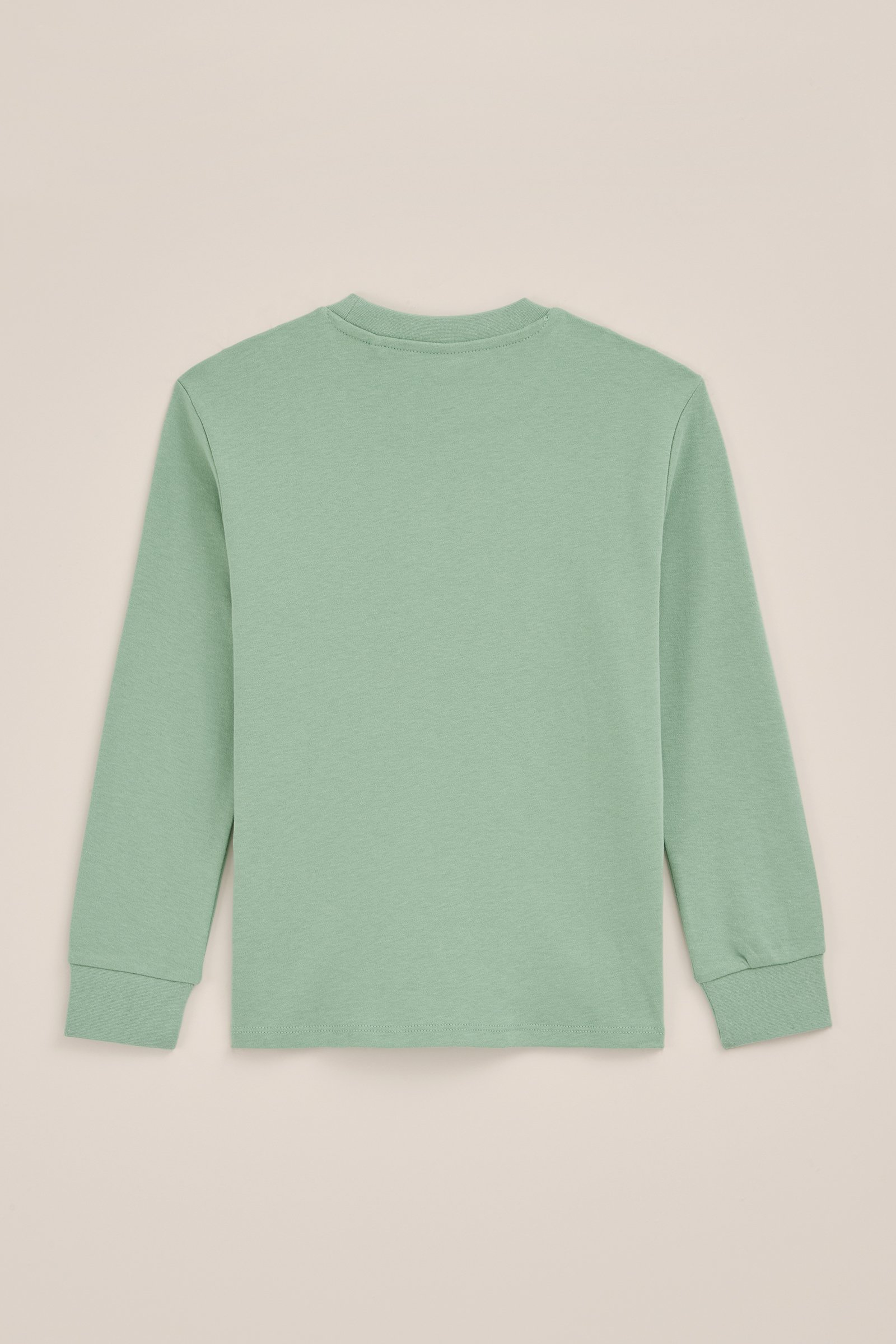 Jongens T-shirt WE Fashion Lichtgroen