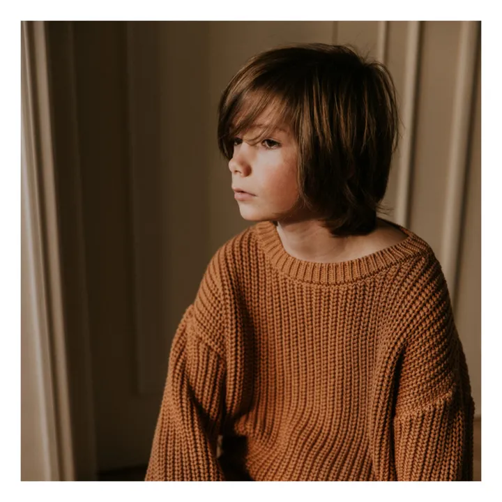 Yuki Pull Chunky Coton Bio | Camel