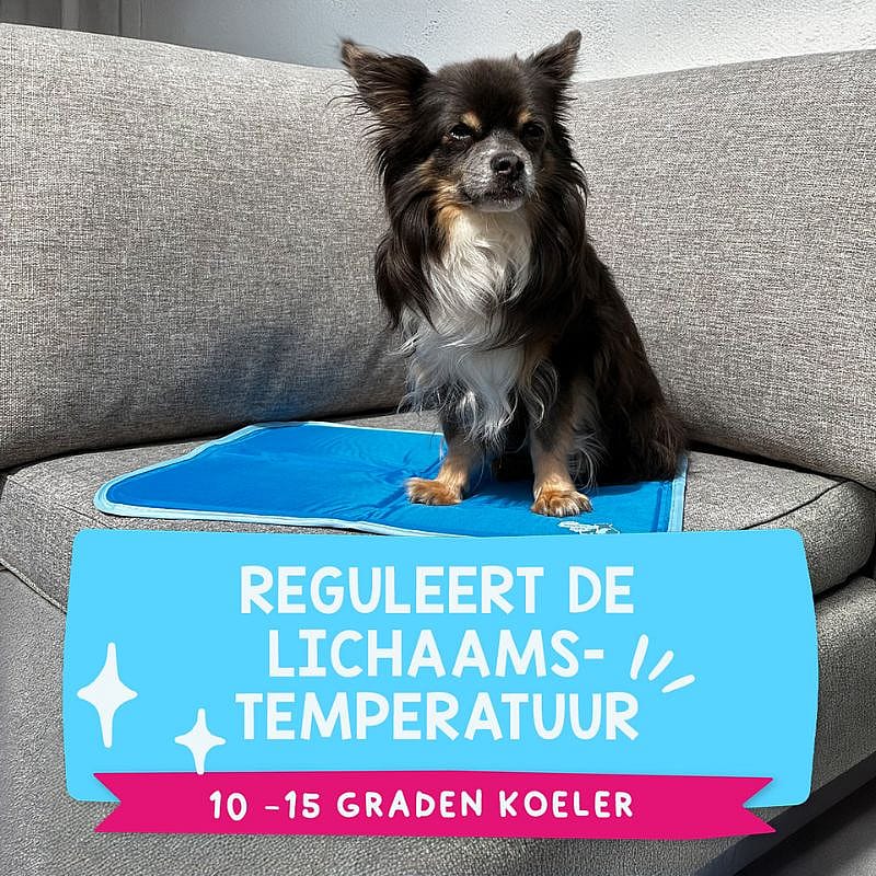 Coolpets Premium Solid Gel Cooling Mat Hond | Maat X-Small | 13903