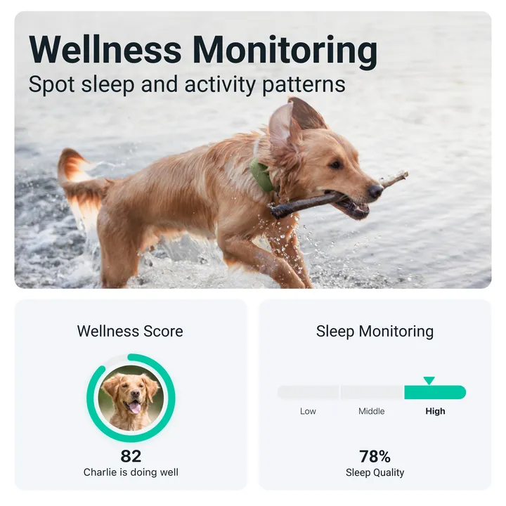 Tractive GPS DOG XL - Green - Abonnement i app