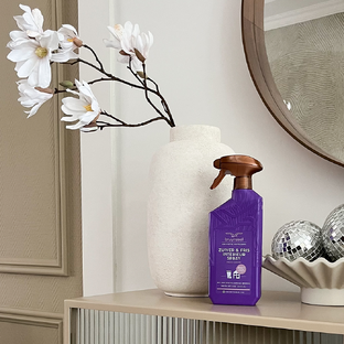 Bruynzeel Cosmetic Homecare Zuiver & Fris interieurspray Fresh Wood 500ML