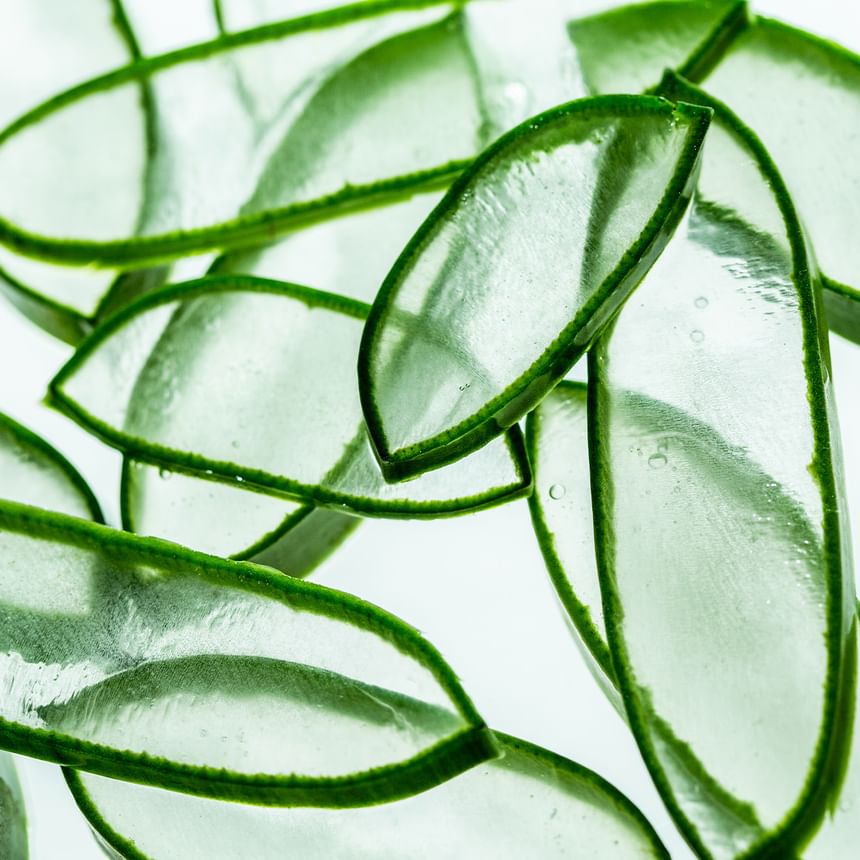 AROMATICA - Biologische Aloë Vera-gel