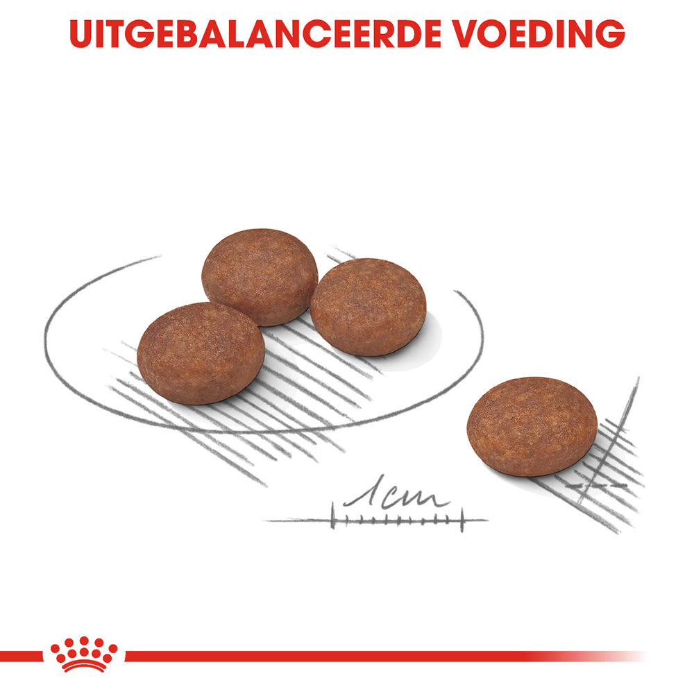 Royal Canin Mini Digestive Care - Hondenvoer