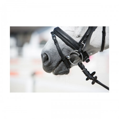Bridão Kieffer Ultra Soft para cavalos, preto