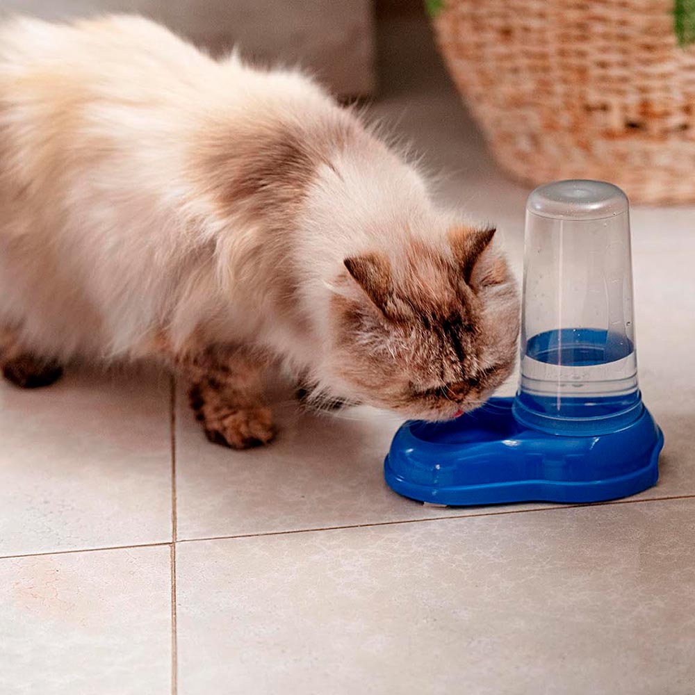 Ferplast distributeur d'eau ou nourriture pour chats et chiens azimut 600 dispenser pour animaux mangeoire pour croquettes