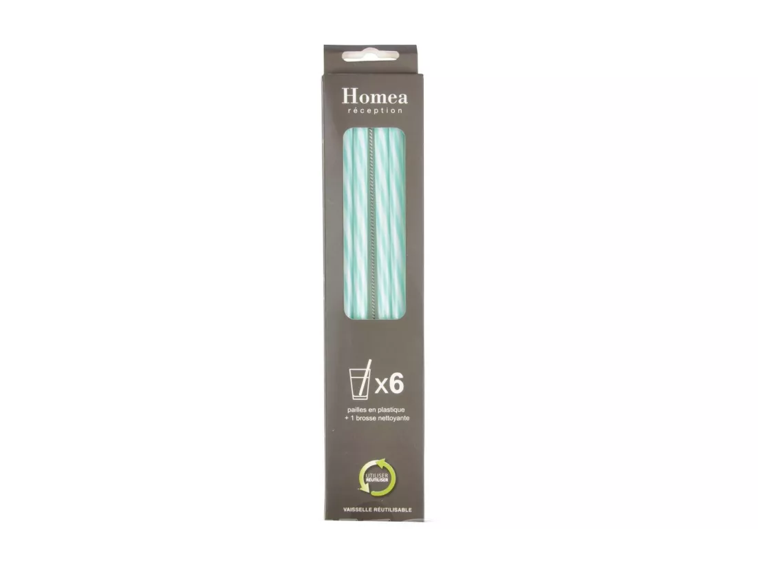 Lot de 6 Pailles & Brosse 