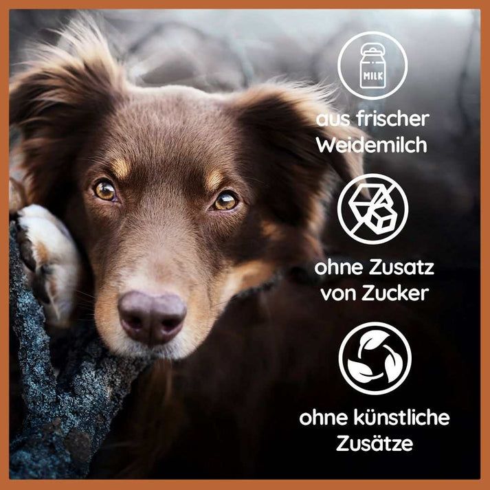 WILDFANG® Käsebrocken
