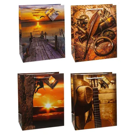 TSI Geschenktüten Herren, 32 x 26 x 14 cm, 12 Stück, 4 Designs