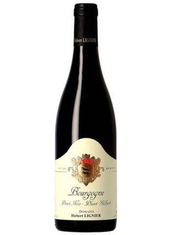 Bourgogne Pinot Noir - Plant Gilbert - Hubert Lignier