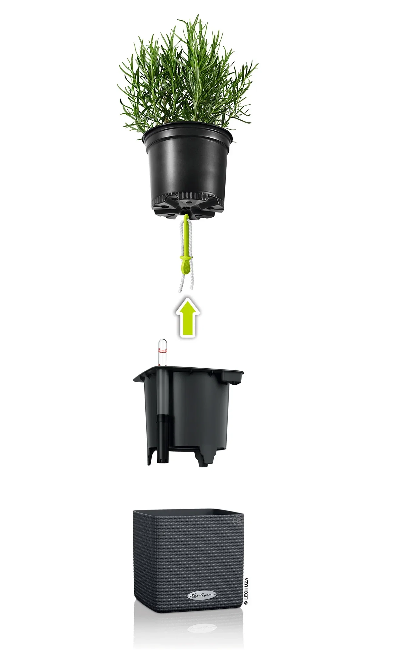 Lechuza Selvvanningspotte Cube Lengde 14 cm