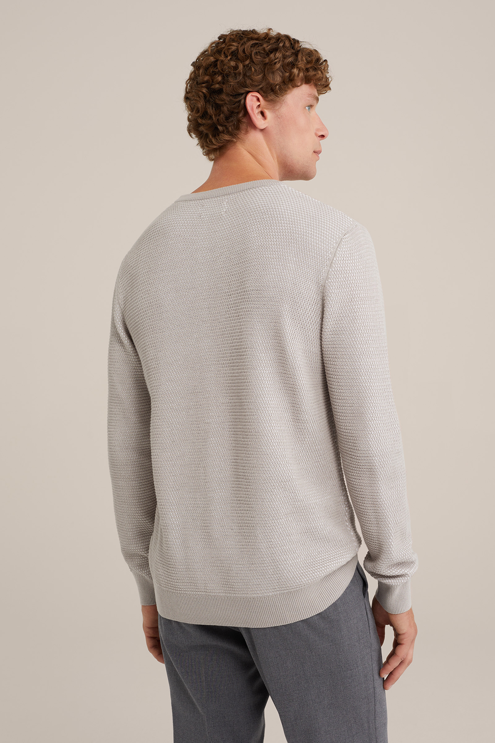 trui met structuur WE Fashion Lichtgrijs